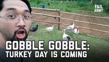 Funny Thanksgiving Video Compilation