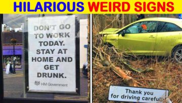 50 Times Signs are Absolutely Hilarious (PART 22)