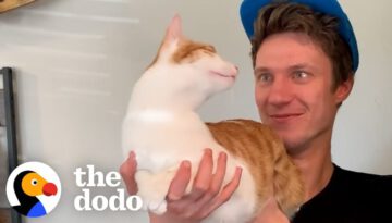 Cat Stops At Nothing To Be Around His Mom’s Boyfriend