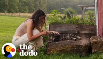 Couple Finds Out Their New House Comes With A Cat