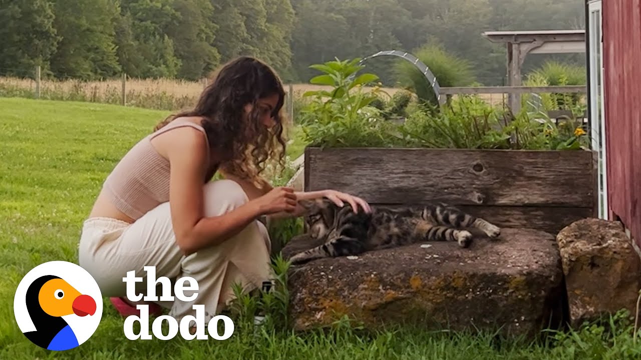 Couple Finds Out Their New House Comes With A Cat