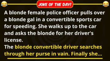 Funny Joke: A Blonde Pulls Over a Blonde