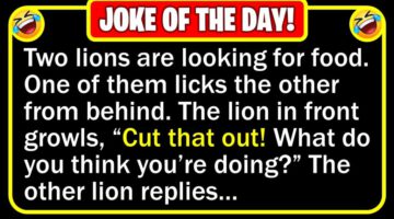 Funny Joke: Licking Lion