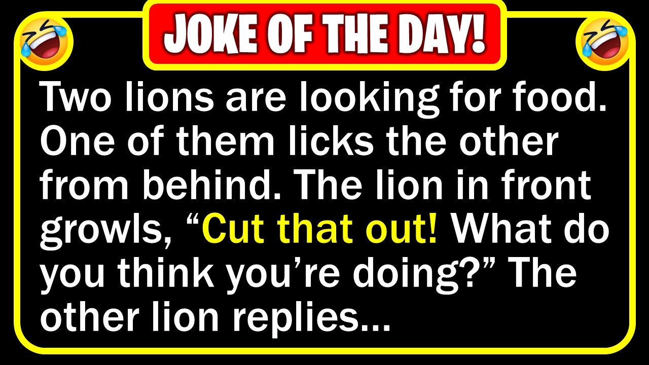 Funny Joke: Licking Lion