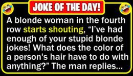 Funny Joke: Blonde Dummy