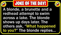 Funny Joke: Blonde Escape