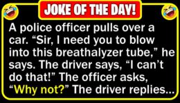 Funny Joke: Drunk Driver