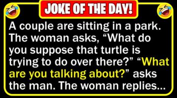 Funny Joke: Little Turtle
