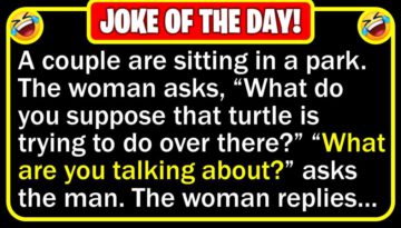 Funny Joke: Little Turtle