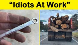 “Idiots At Work” Showed Just How Stupid Humans Can Be