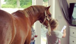 Pony Has Been In Love With Little Girl Since She Was Born