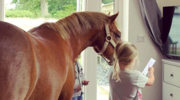 Pony Has Been In Love With Little Girl Since She Was Born