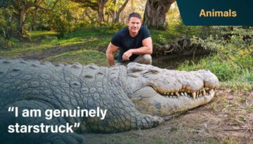 Meet Henry, The World’s Oldest Crocodile