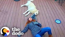Ring Camera Catches Woman And Her Dog In The Happiest Moment Ever
