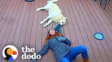 Ring Camera Catches Woman And Her Dog In The Happiest Moment Ever