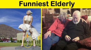 Times Elderly People Proved That They’re The Funniest Age Group (PART 2)