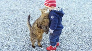 Adorable Friendships Between Kids and Animals