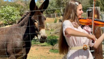 Donkey Likes Violin Playing – Karolina Protsenko