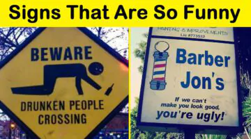 Signs That Are So Funny (New)