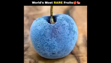 The World’s Most Rarest Fruits