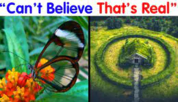 40 Incredible Things People Came Across That Made Them Say, ‘Can’t Believe That’s Real’