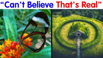 40 Incredible Things People Came Across That Made Them Say, ‘Can’t Believe That’s Real’