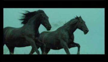 Black Horses – Now We Are Free (Lisa Gerrard)