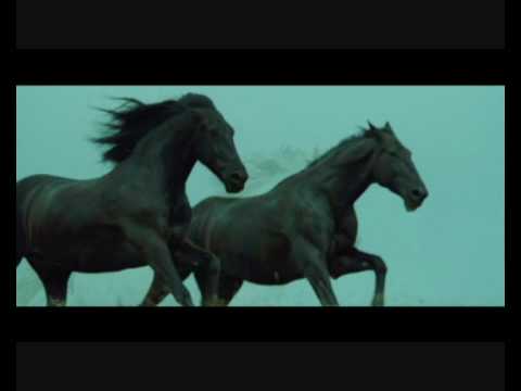 Black Horses – Now We Are Free (Lisa Gerrard)