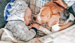 Dog and His Baby Brother Share Every Milestone Together