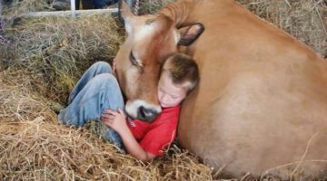 Heartwarming Animal Love Moments That Heal the Soul
