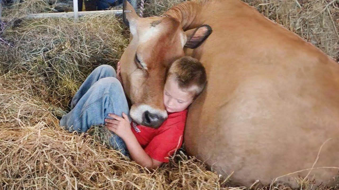 Heartwarming Animal Love Moments That Heal the Soul