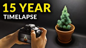 I Filmed Plants for 15 Years – Time-Lapse Compilation