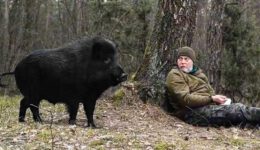 Man Met Wild Boar in the Woods and It Changed His Life