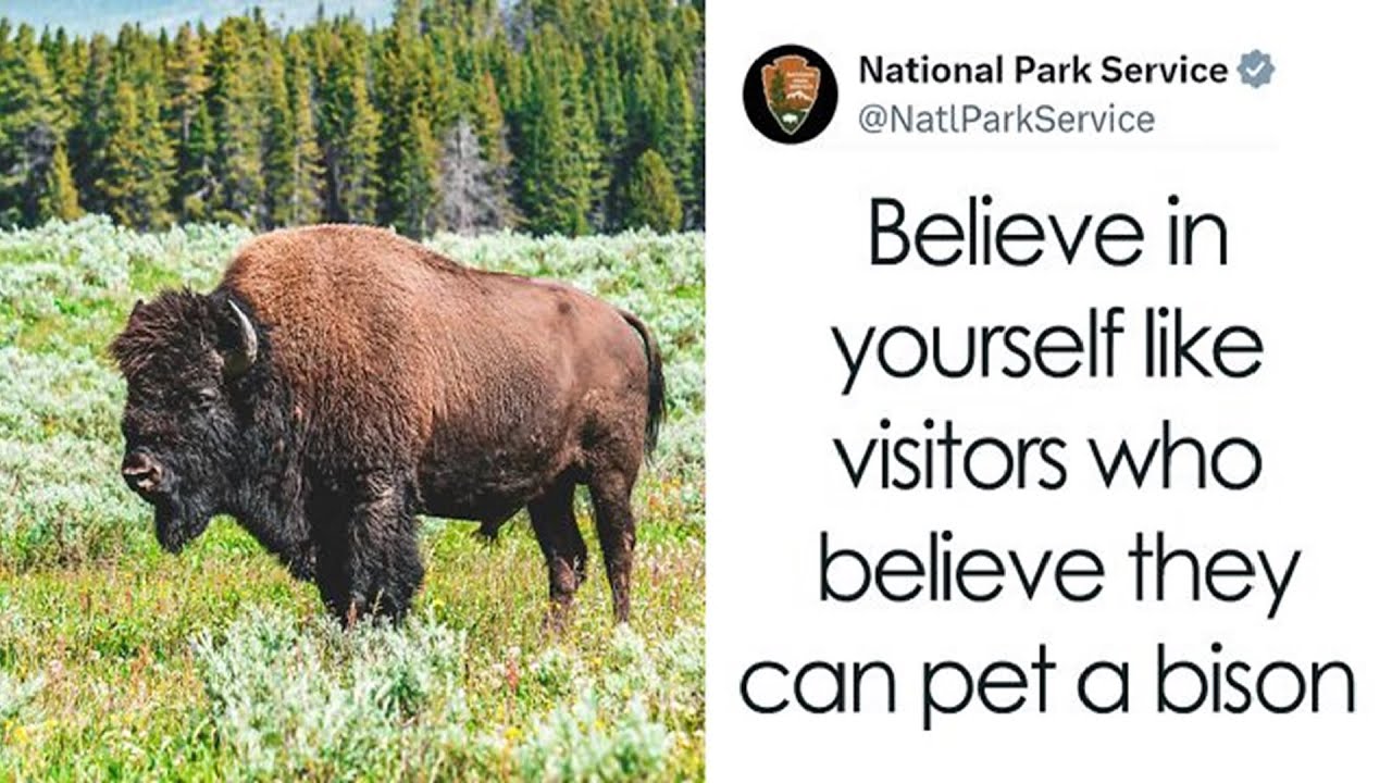 The Best Tweets That Made People Laugh This June