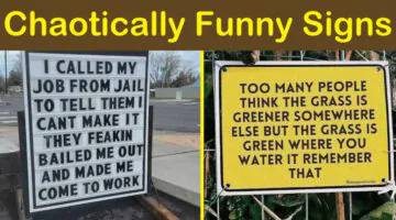 Chaotically Funny Signs