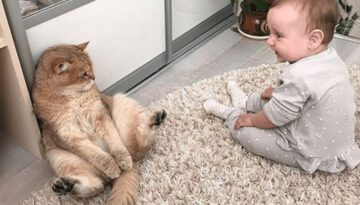 When Your Children Are Raised by Cats