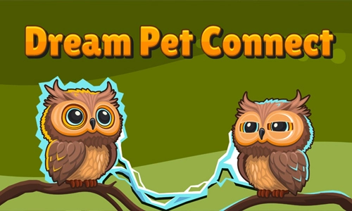 dreampetconnect500300