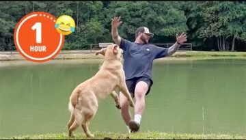 FUNNIEST Pets of 2024 😂 | BEST Compilation