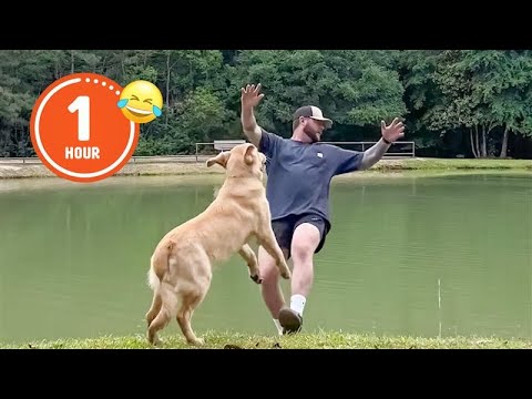 FUNNIEST Pets of 2024 😂 | BEST Compilation