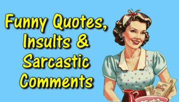 Funny Quotes Insults And Sarcastic Comments