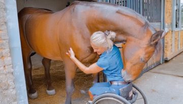 Playful Funny Horses & Their Humans