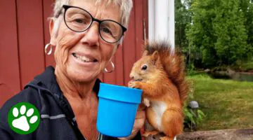 63-Year-Old Woman Is a Real-Life Animal Whisperer