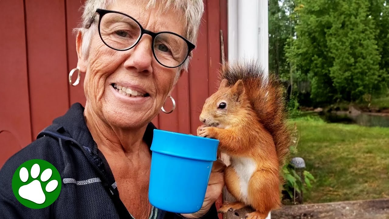 63-Year-Old Woman Is a Real-Life Animal Whisperer