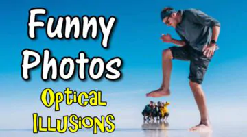 Funny Photos That Are Optical Illusions