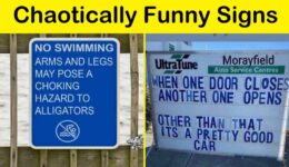 Chaotically Funny Signs (NEW)