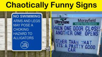 Chaotically Funny Signs (NEW)