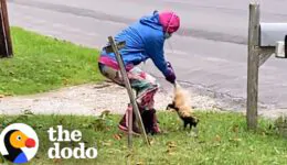 Dad Has Best Reaction To Daughter Rescuing Skunk