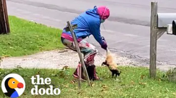 Dad Has Best Reaction To Daughter Rescuing Skunk