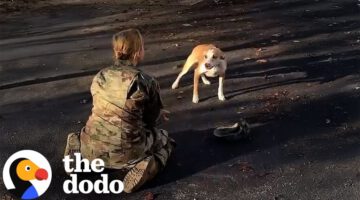 Dog Reunites With His Mom After A Year