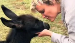 Donkey Makes Sweetest Sound for Human Mom